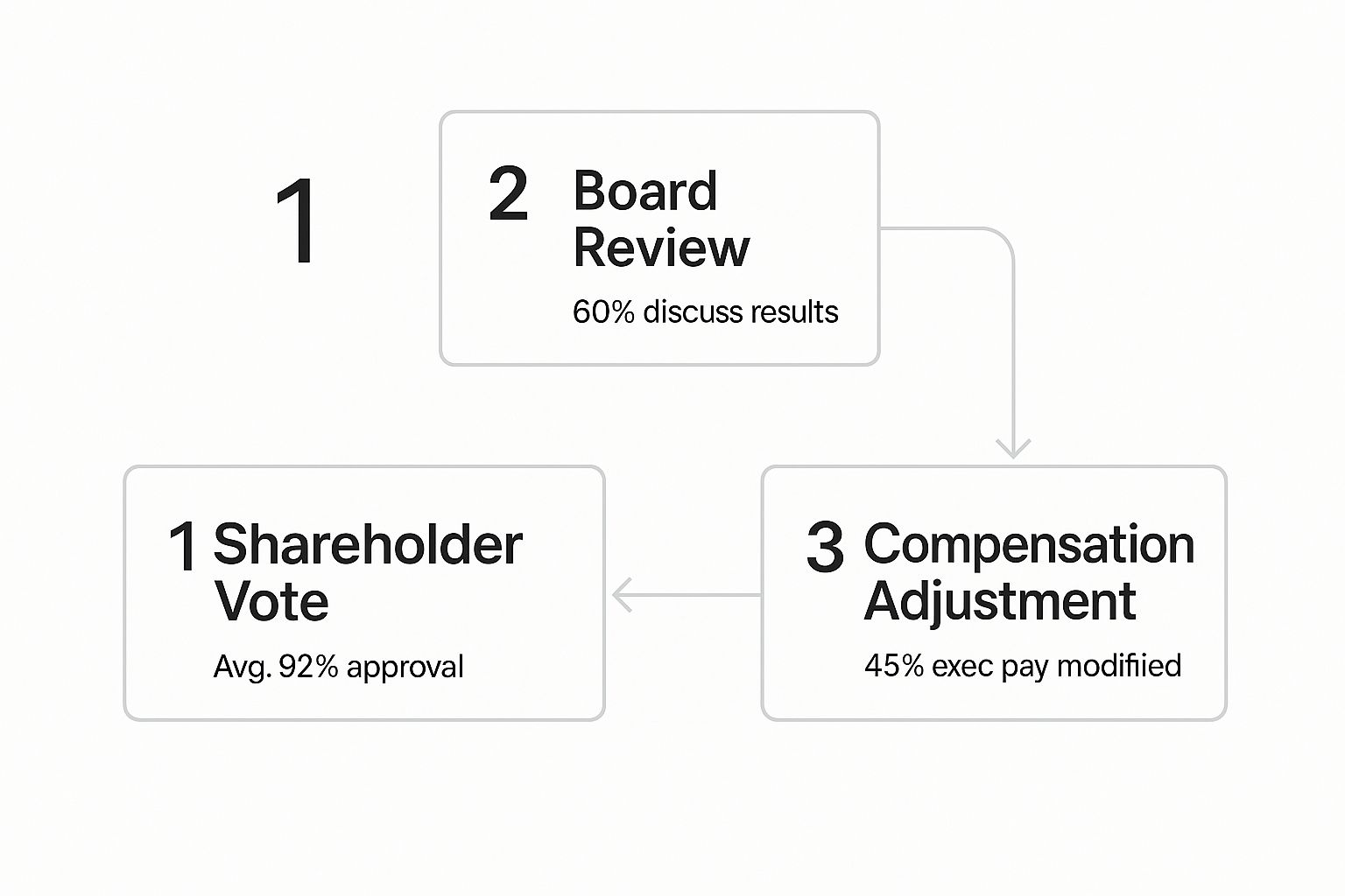 Infographic about Say on Pay