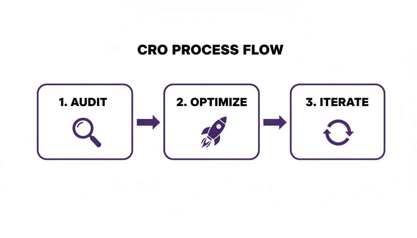 A CRO process flow diagram showing three steps: 1. Audit, 2. Optimize, and 3. Iterate.