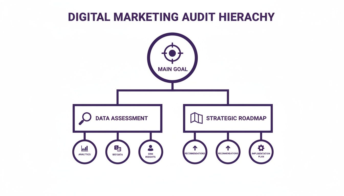 Hierarchy diagram detailing a digital marketing audit process, from main goal to data assessment and strategic roadmap.
