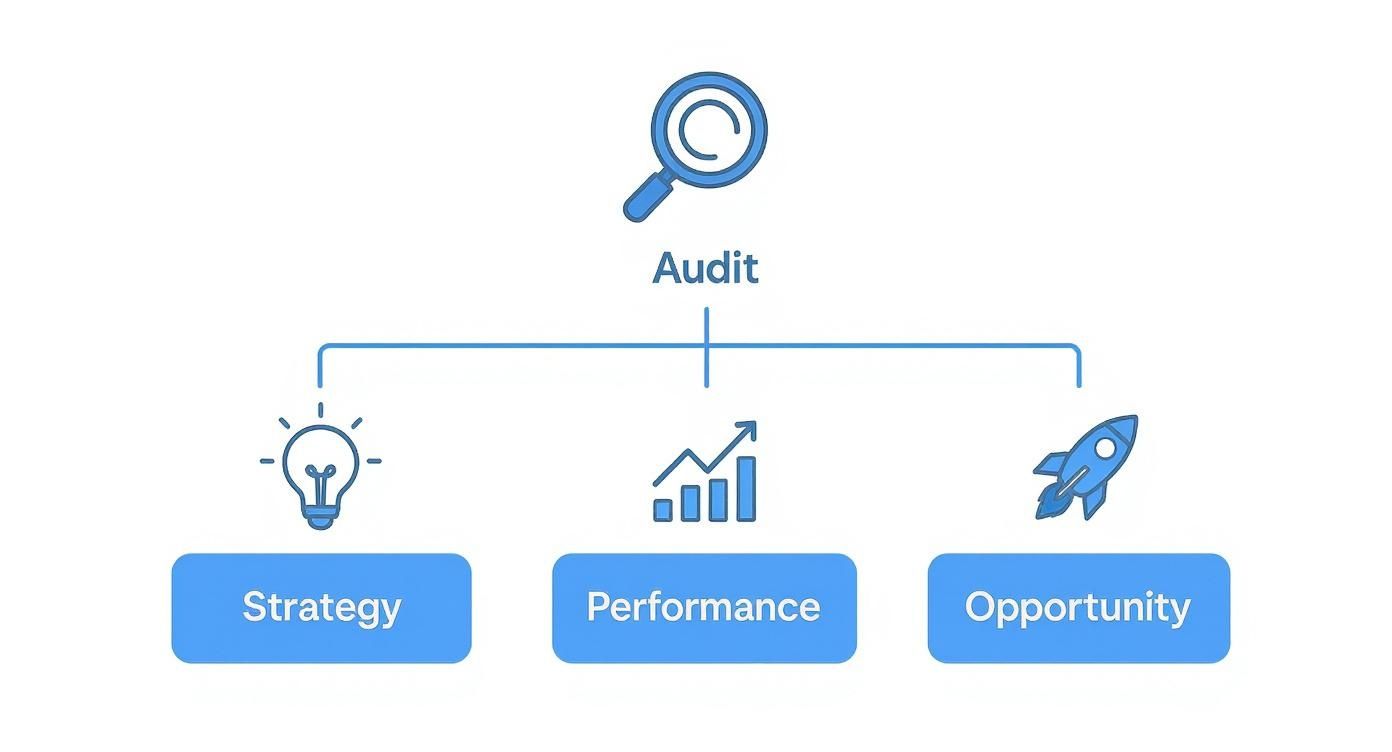A diagram illustrates an Audit process branching into Strategy (lightbulb), Performance (bar chart), and Opportunity (rocket).