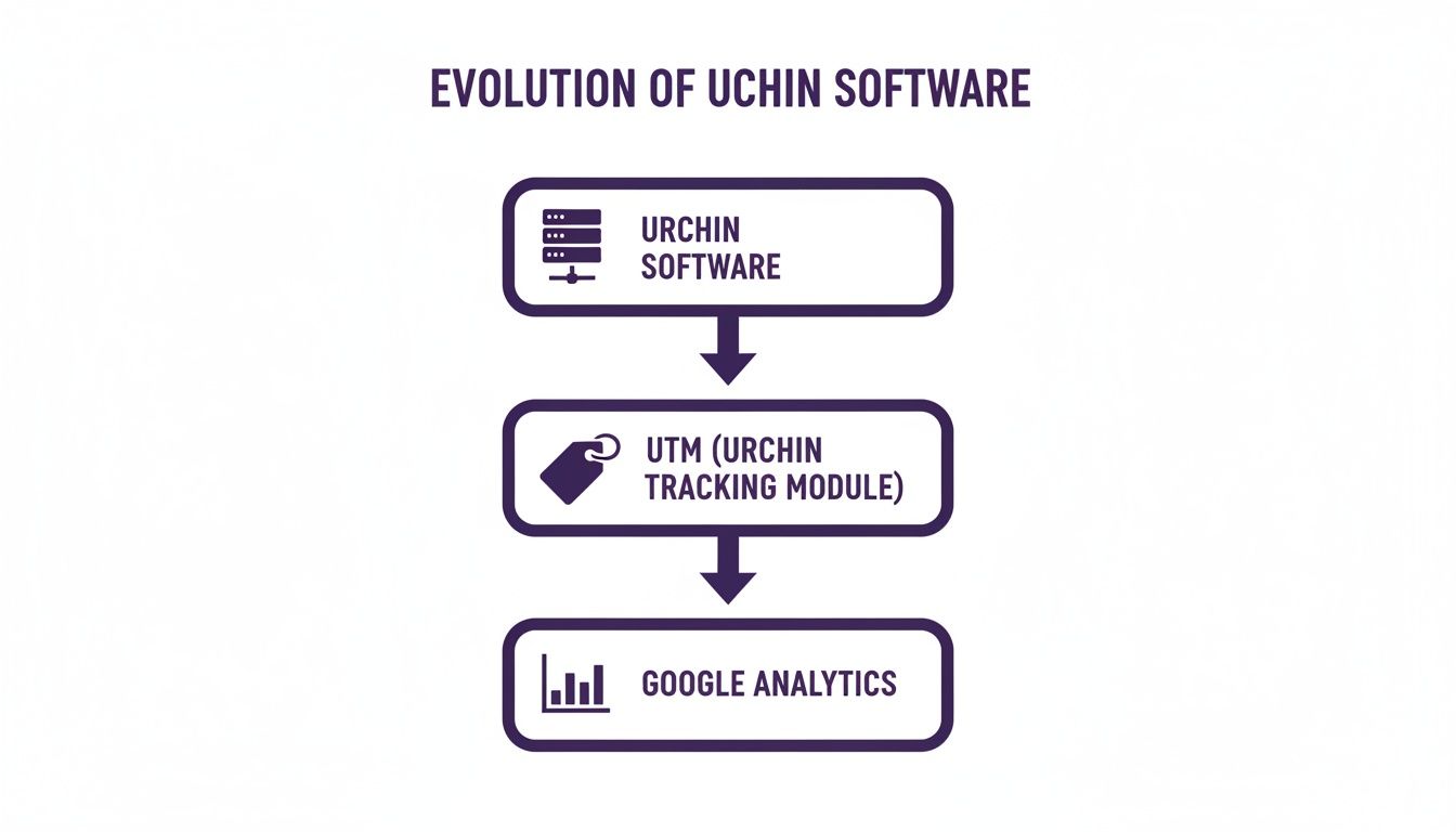 Flowchart showing the evolution of Urchin Software to UTM, then to Google Analytics.