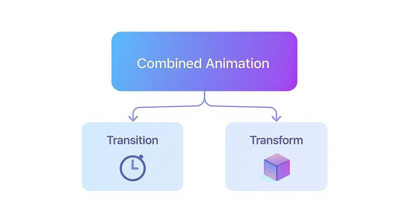 Mastering CSS Transitions and Transforms