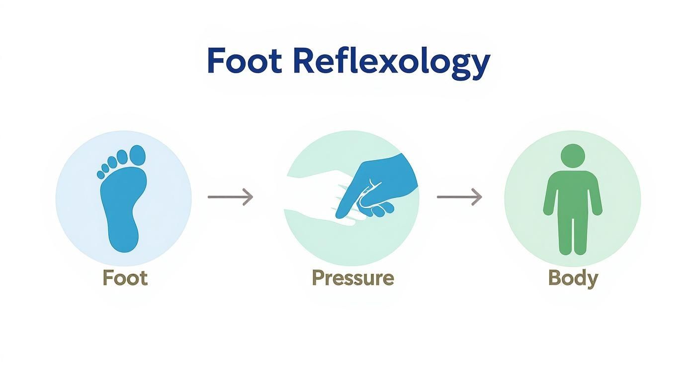 Diagram illustrating the foot reflexology process, showing how pressure on the foot influences the body.