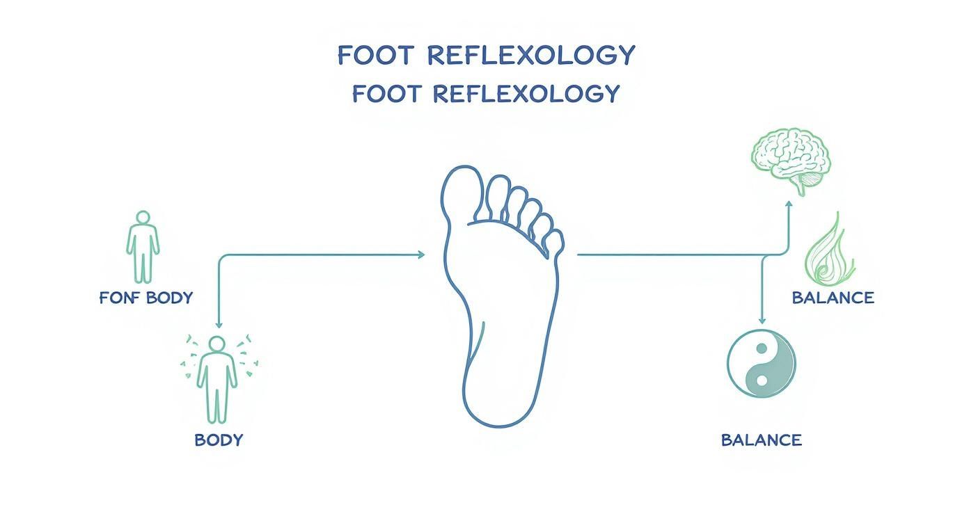 Infographic about foot reflexology massage
