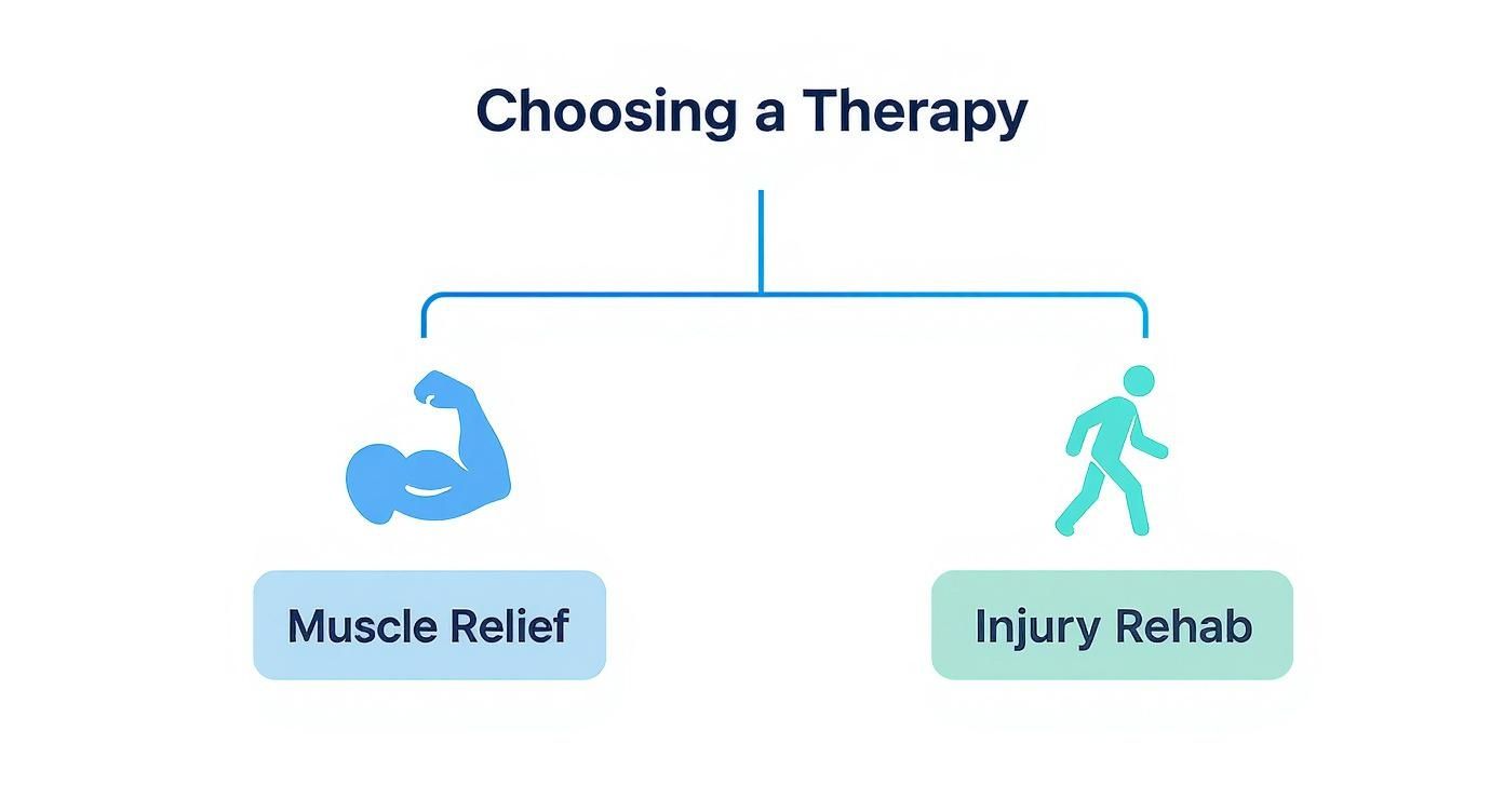 Infographic about massage therapy vs physiotherapy