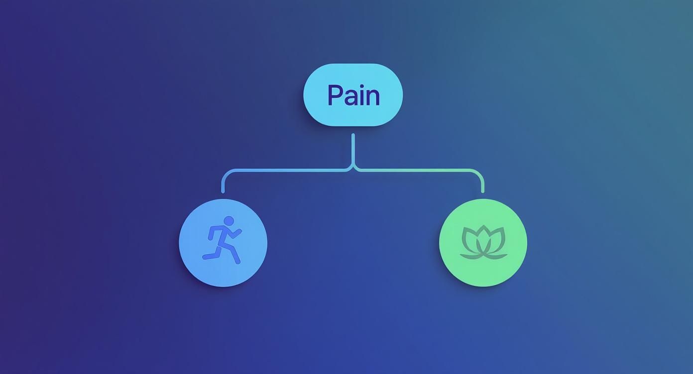 Diagram illustrating &#39;Pain&#39; branching into physical exercise and meditative mindfulness.