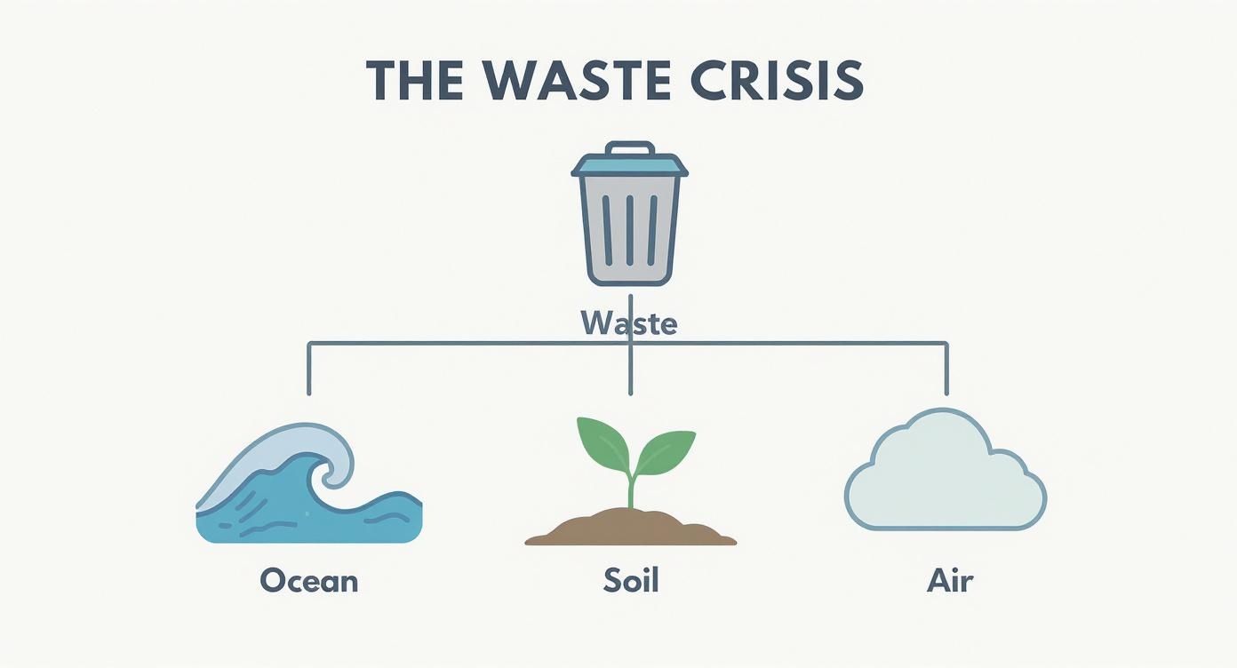 Infographic about sustainable waste disposal