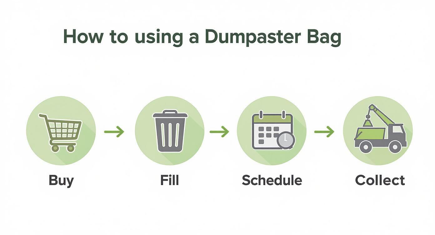 Infographic about dumpster in a bag pickup
