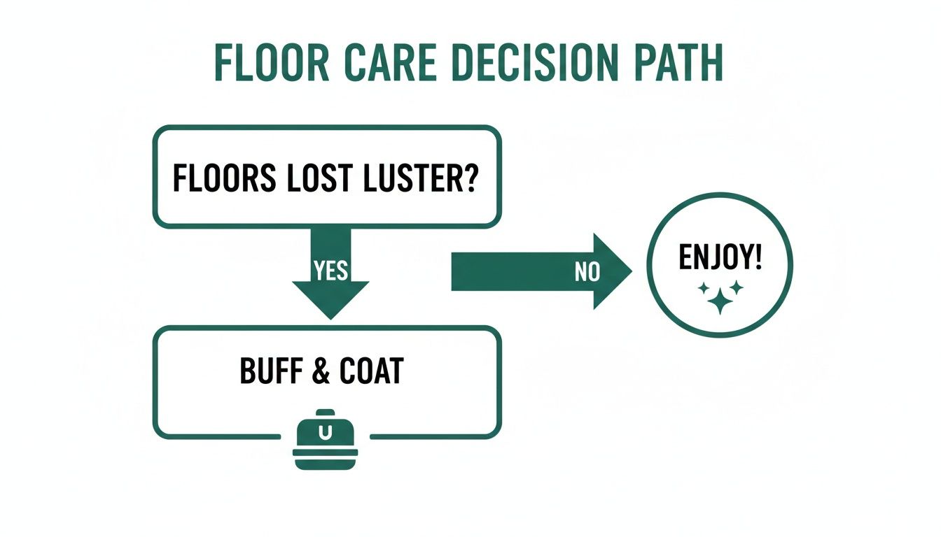 Flowchart detailing floor care: buff and coat floors if luster is lost, otherwise enjoy.