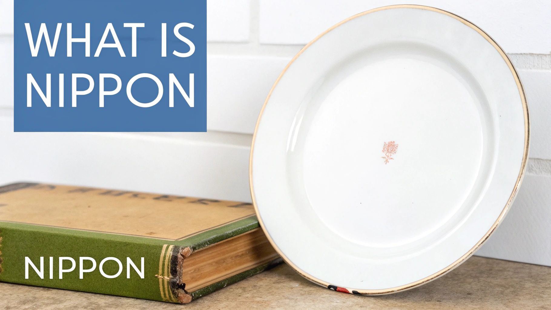 A white plate with gold rim and small floral design, next to an old book titled 'Nippon', discussing what Nippon is.