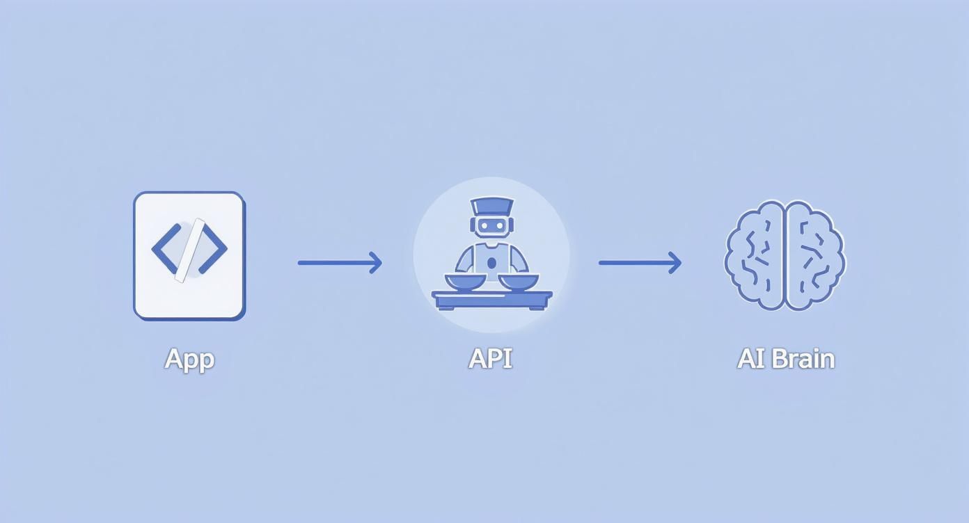 Infographic about chat bot api