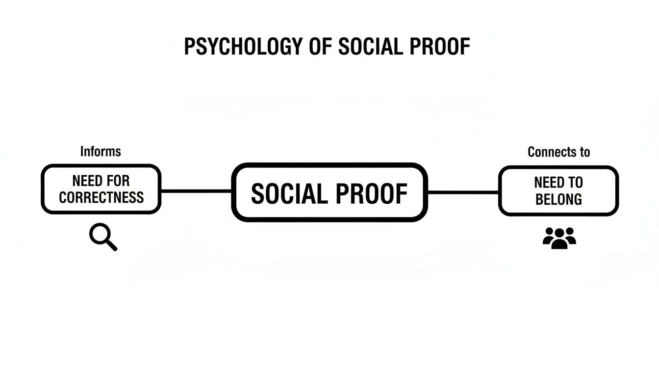 Diagram illustrating the psychology of social proof, connecting it to the need for correctness and belonging.