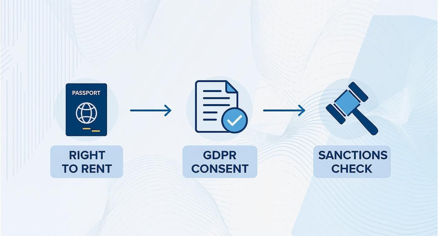 Infographic about tenant background verification