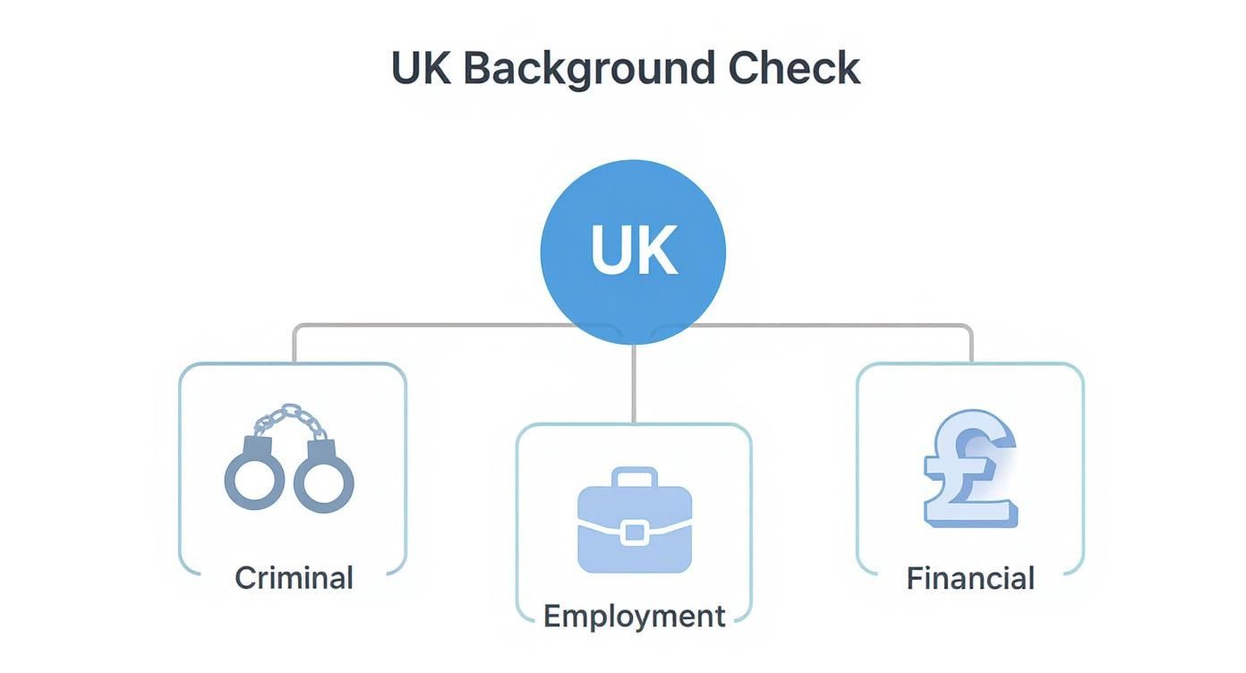 Infographic about what is a background check