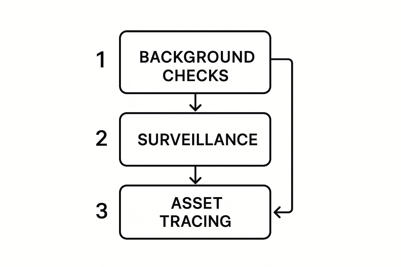 Infographic about private investigators