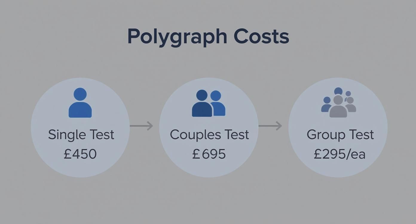 Infographic about how much is a polygraph test