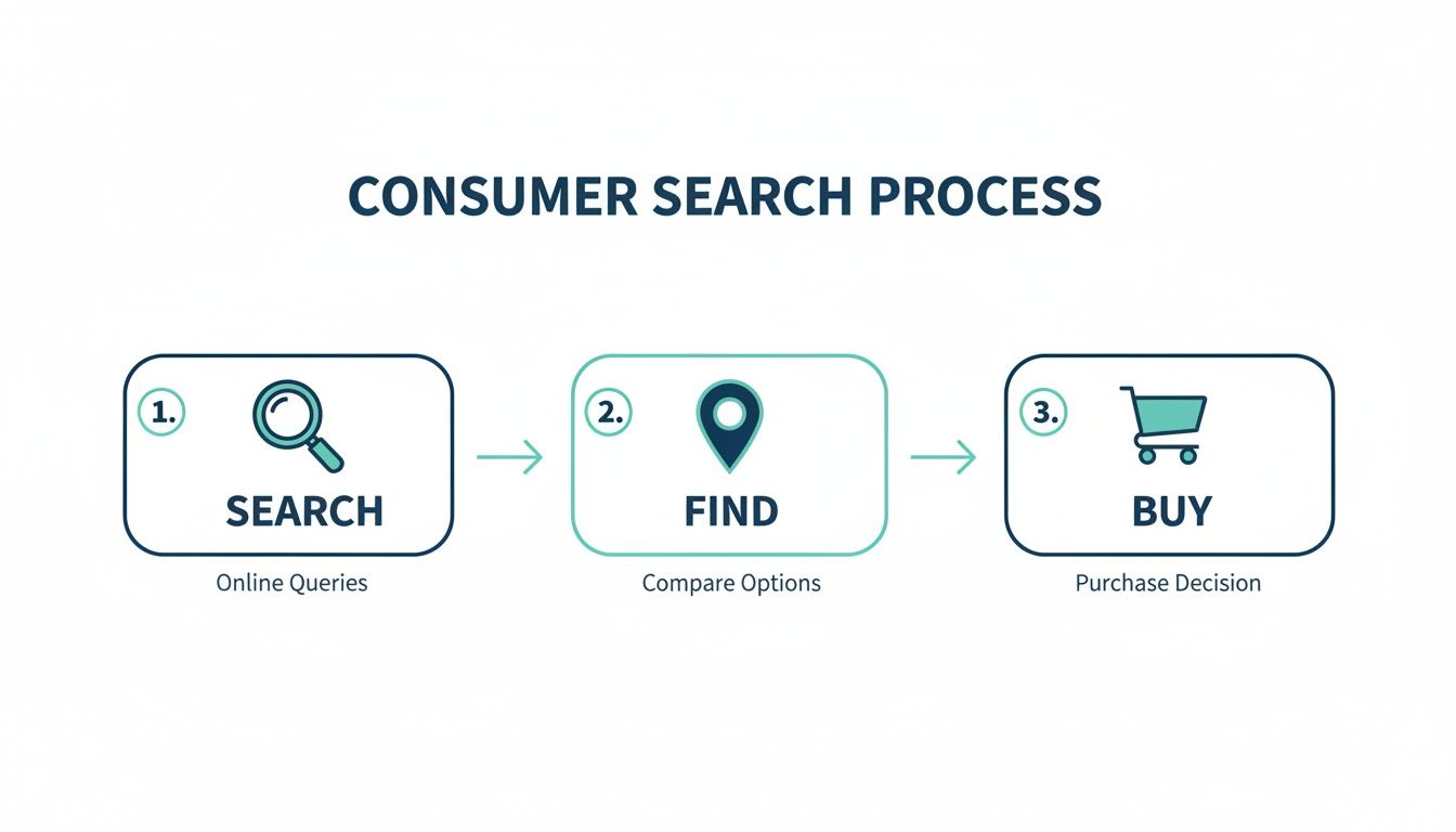 Infographic showing the consumer search process: search (online queries), find (compare options), and buy (purchase decision).