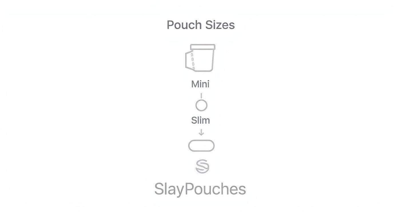 Infographic displaying various SlayPouches sizes, including Mini and Slim, represented by distinct shapes.