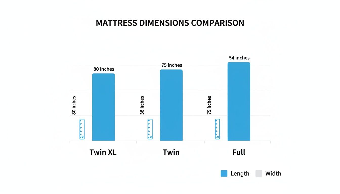 Bar chart comparing mattress dimensions for Twin XL, Twin, and Full sizes, showing length and width in inches.