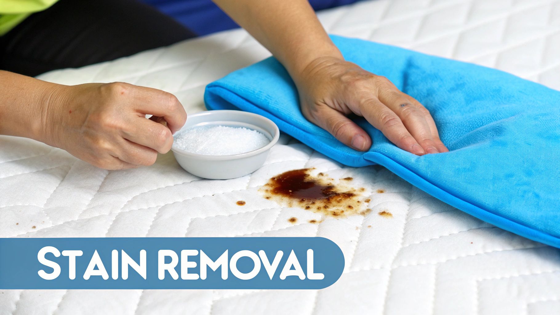 Hands cleaning a brown stain on a white quilted mattress with white powder and a blue towel.