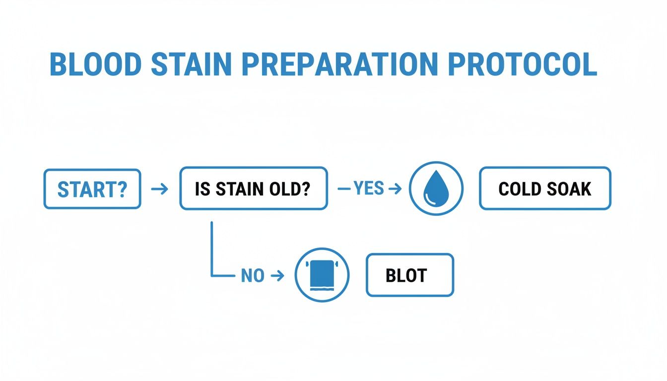 Flowchart detailing a blood stain preparation protocol, guiding users to cold soak old stains or blot new ones.