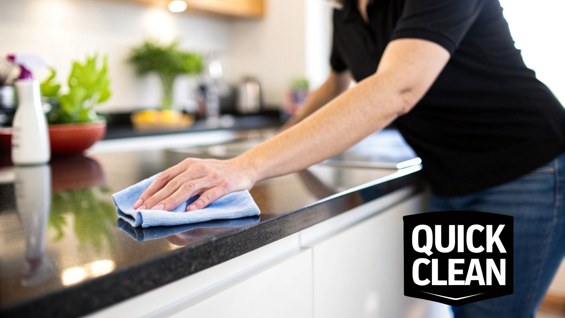 Daily Quick Clean Routine