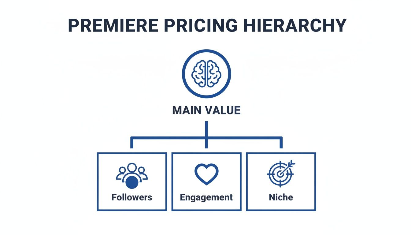 Premiere pricing hierarchy visualizes main value, branching into followers, engagement, and niche factors.