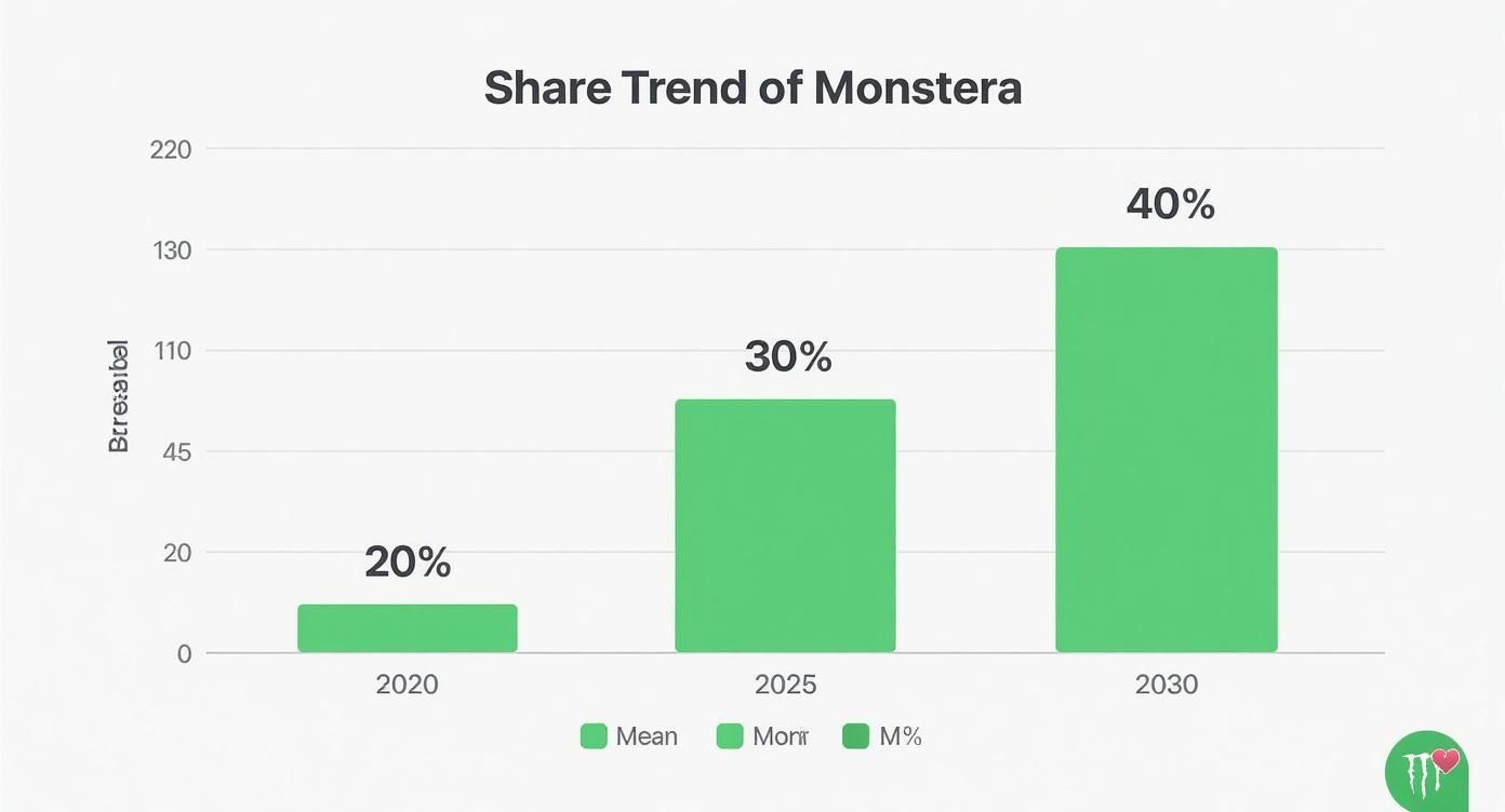 Infographic about monstera plant
