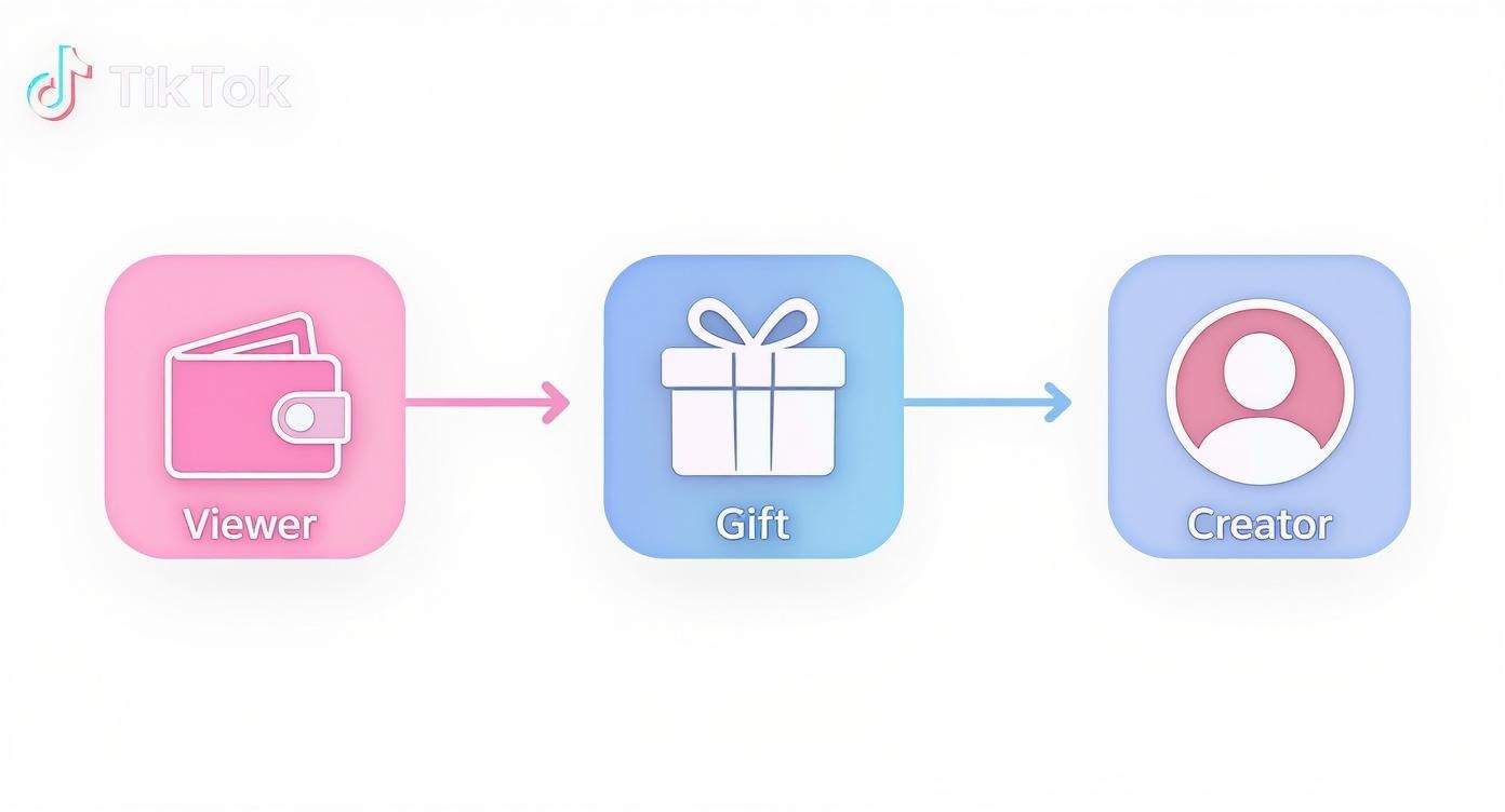 Infographic about tiktok coins