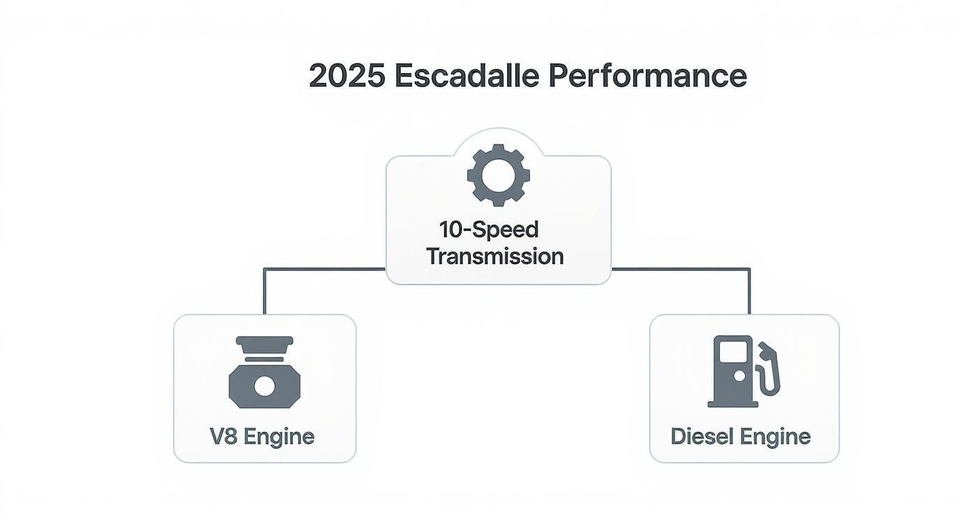 Infographic about 2025 cadillac escalade