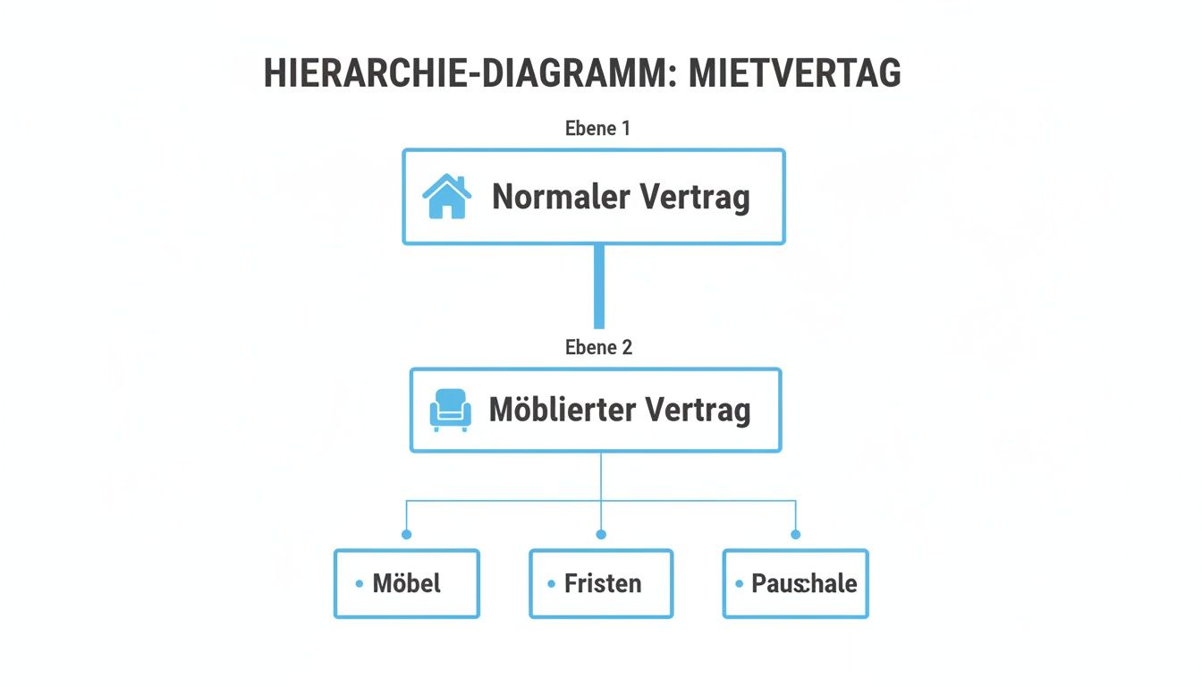 Hierarchie-Diagramm zum Mietvertrag, das den normalen Vertrag und den möblierten Vertrag mit Möbeln, Fristen und Pauschale darstellt.