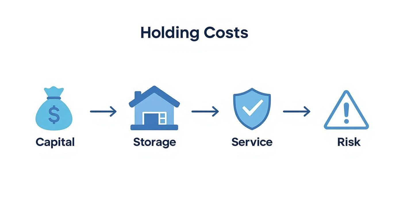 Infographic illustrating holding costs, showing capital, storage, service, and risk as key components.