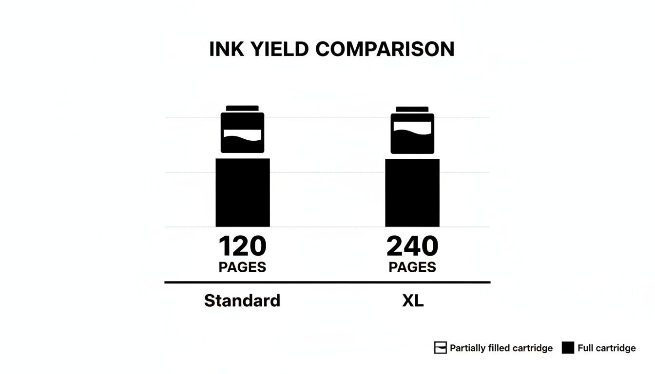 A bar chart comparing standard and XL ink cartridge yields, showing 120 pages for standard and 240 pages for XL.