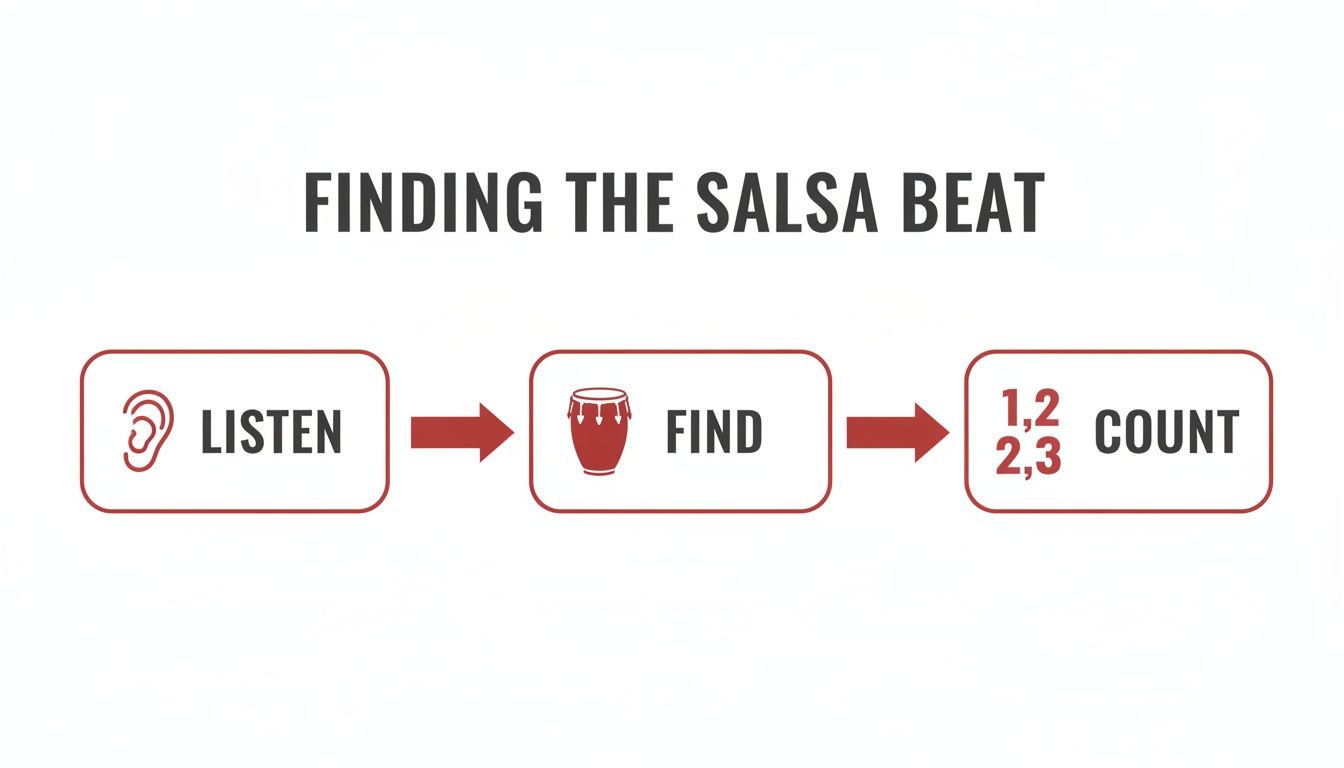 salsadancestepsforbeginnerssalsabeat