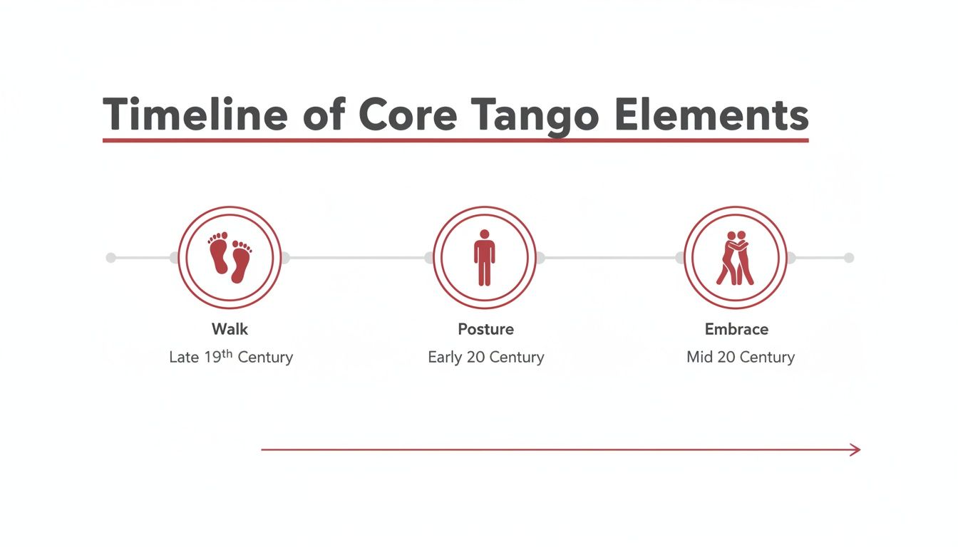 tangolessonsforbeginnerstangotimeline