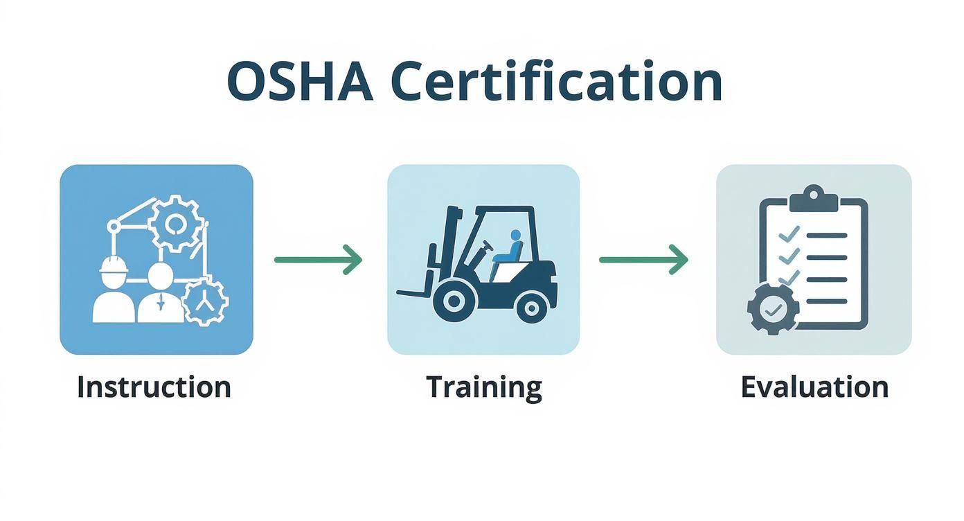 Infographic about forklift certification requirements