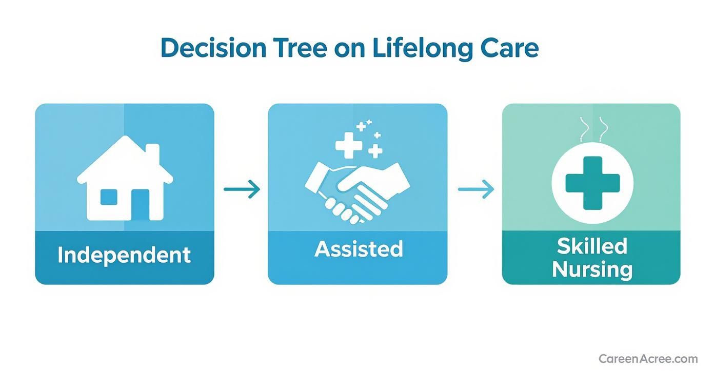 Decision tree diagram showing progression from independent living to assisted living to skilled nursing care