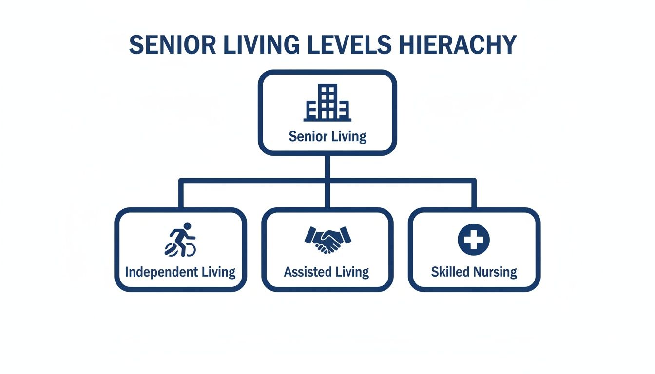 A hierarchy chart illustrating senior living levels: independent, assisted, and skilled nursing.