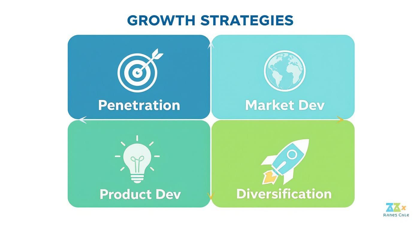 Infographic about product market matrix example