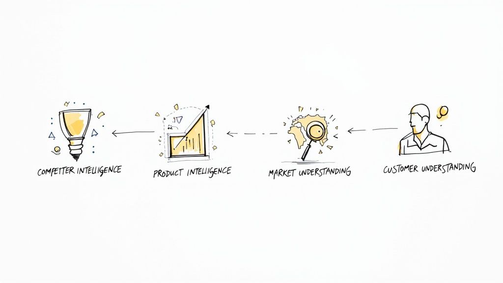 A colorful pie chart divided into four distinct sections, representing the different types of market intelligence.