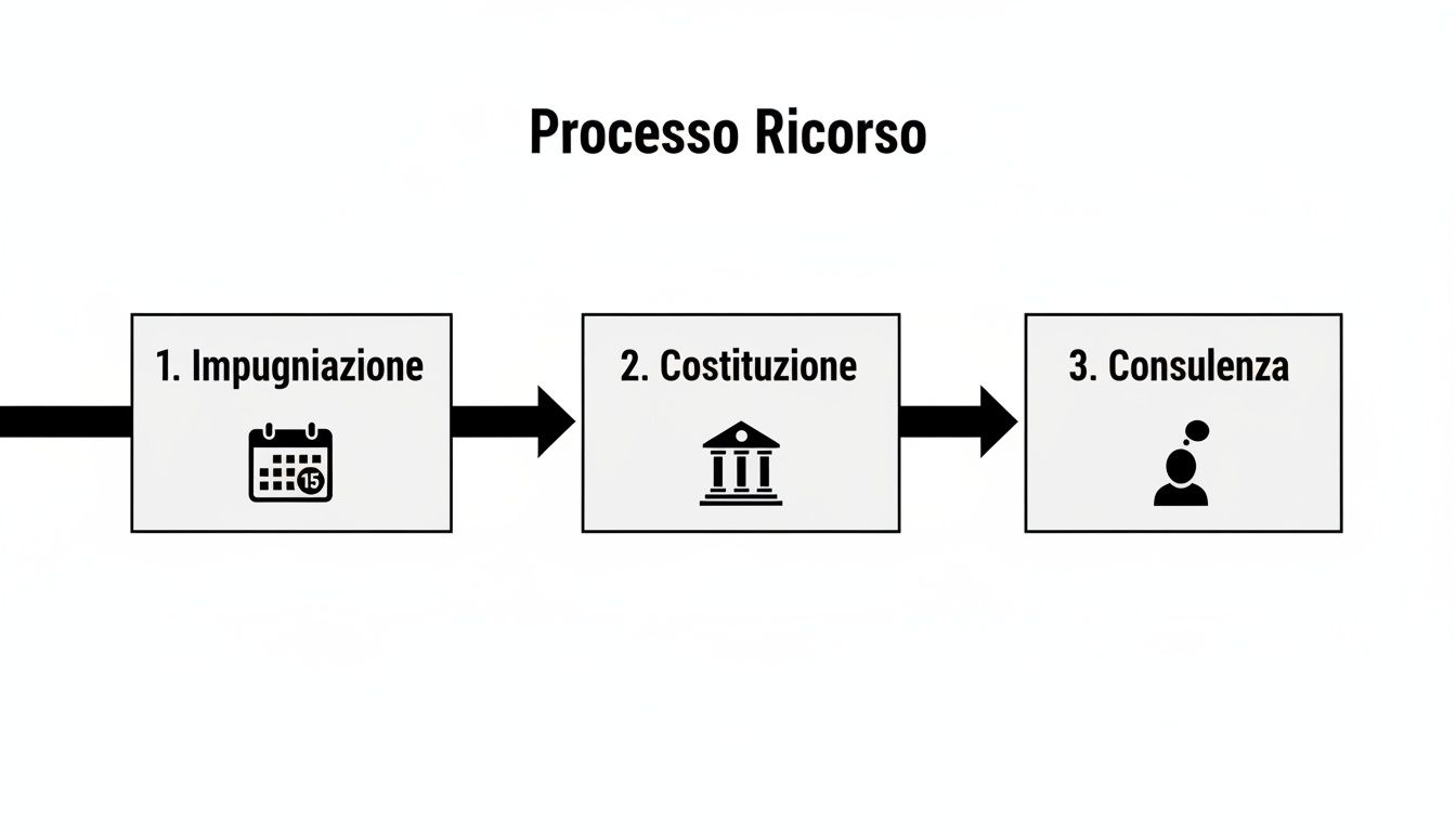 Schema del processo di ricorso con tre fasi: impugnazione, costituzione e consulenza, rappresentate da icone.