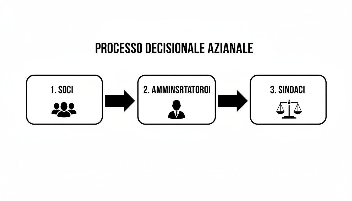 Diagramma che illustra il processo decisionale aziendale, dalla fase dei Soci a quella degli Amministratori e dei Sindaci.