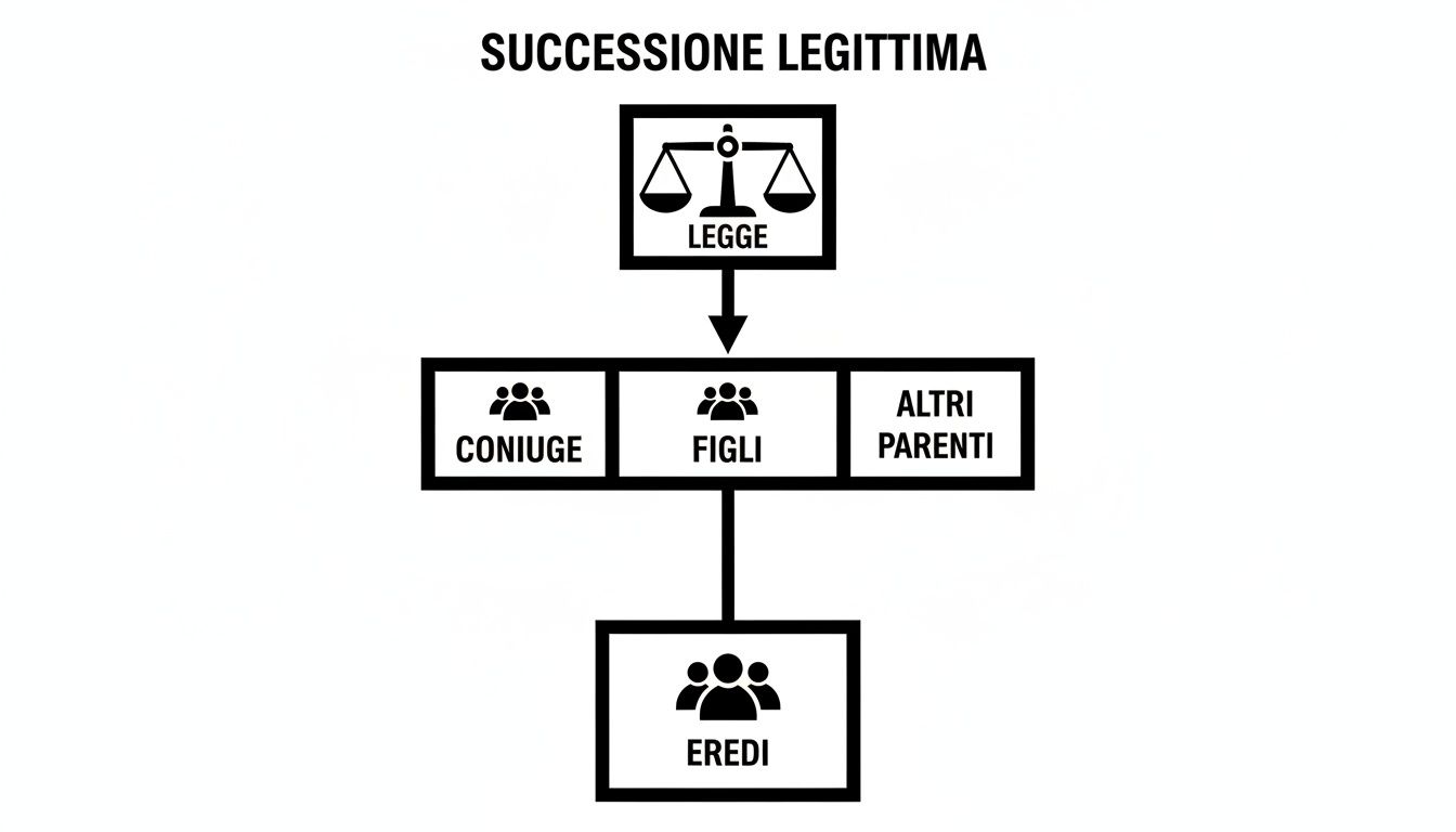Diagramma di flusso sulla successione legittima, che mostra la legge come base per coniuge, figli e altri parenti quali eredi.