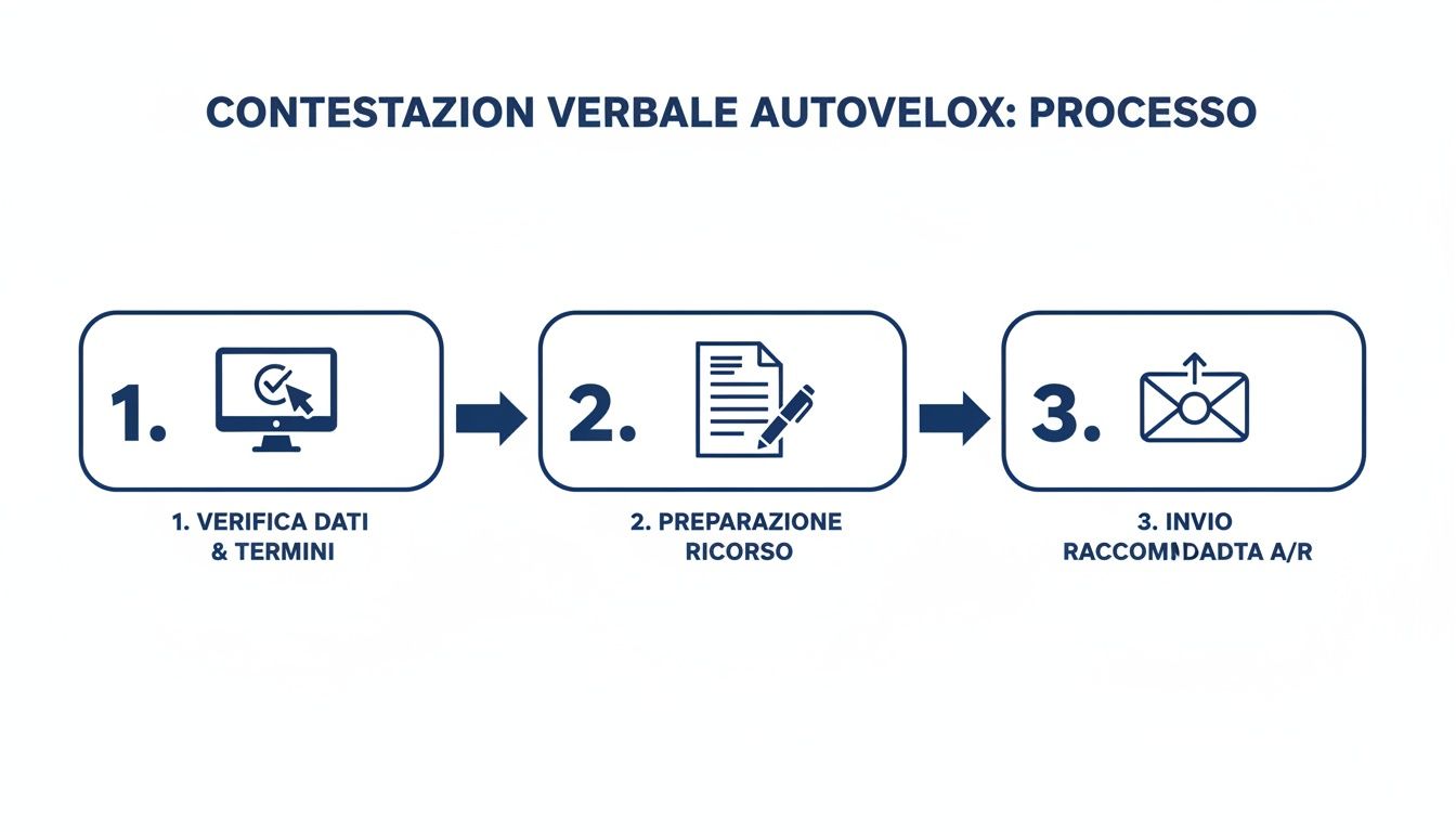 Infographic about multe autovelox dopo quanto arrivano