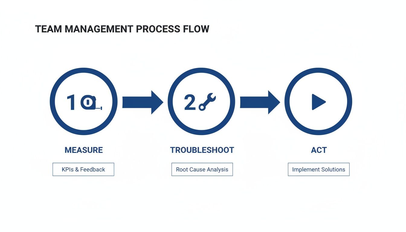 Um diagrama de fluxo que ilustra o processo de gestão de equipa: etapas de Medir, Resolver Problemas e Agir.