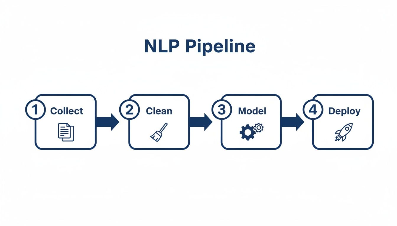 Sequential diagram of an NLP pipeline, showing four key steps: Collect, Clean, Model, and Deploy.