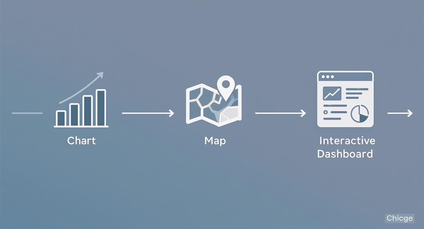 Infografía sobre qué es la visualización de datos