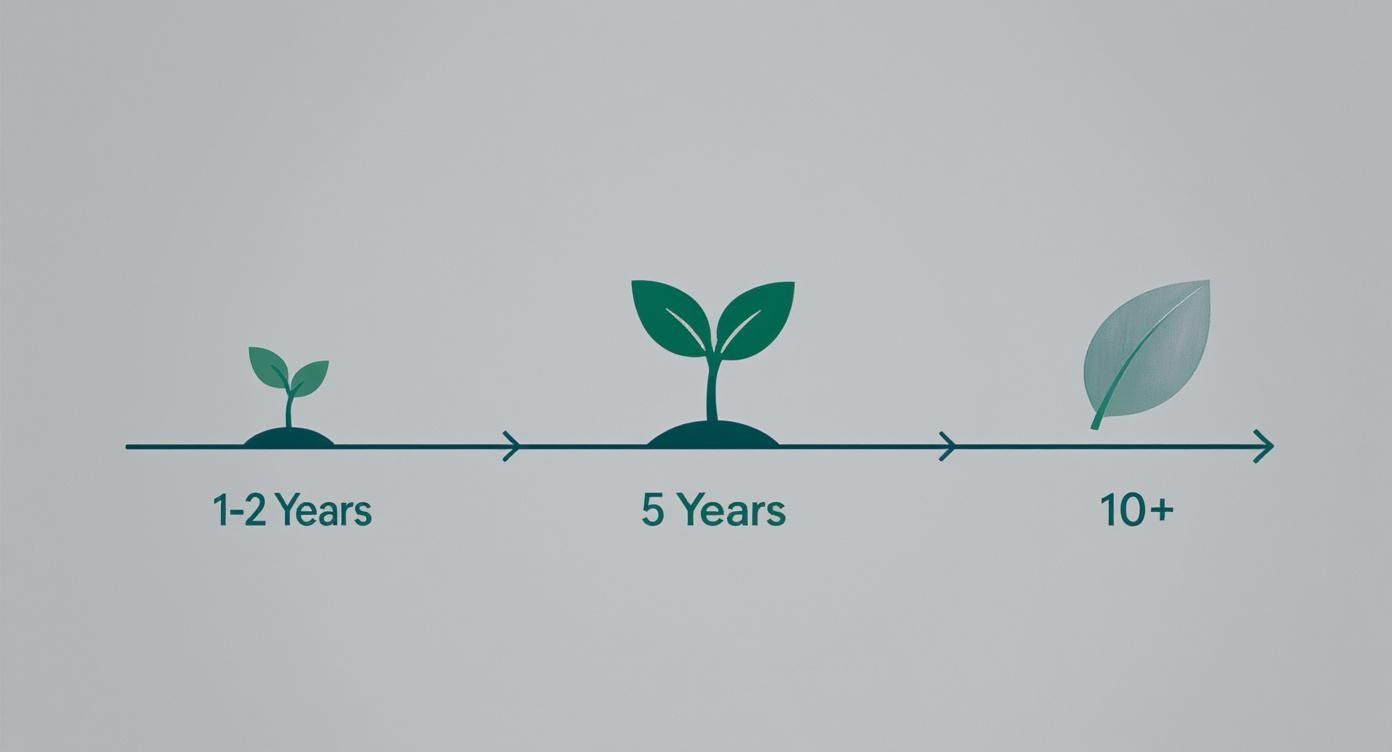 A visual timeline showing plant growth stages: small sprout (1-2 years), larger sprout (5 years), and mature leaf (10+ years).