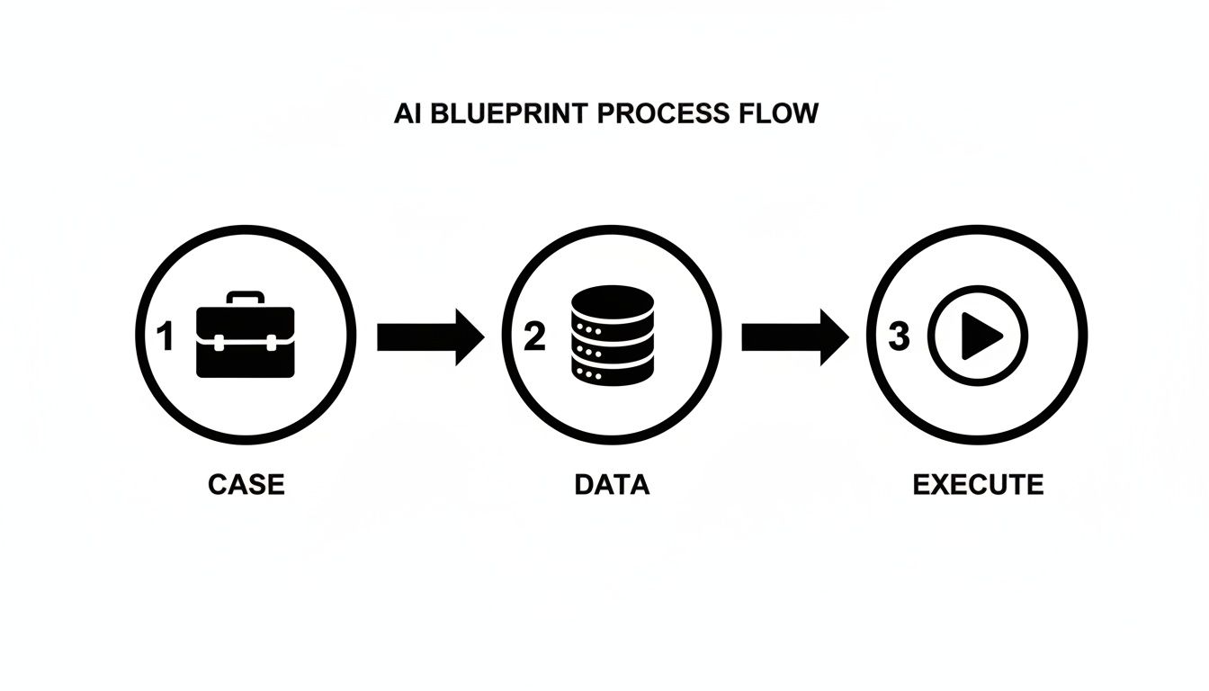 A diagram illustrating the AI blueprint process flow with three sequential steps: Case, Data, and Execute.