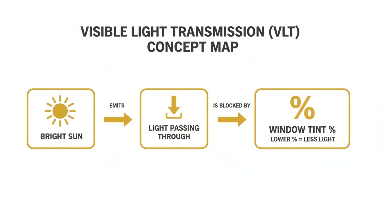 Concept map illustrating Visible Light Transmission (VLT), showing bright sun, light passing through, and how window tint blocks it.